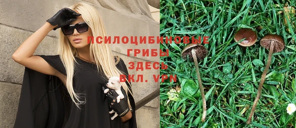 mdpv Вязники