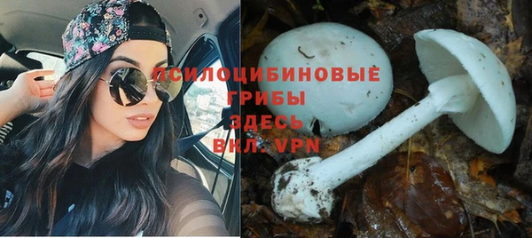 таблы Волоколамск