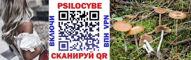 Галлюциногенные грибы MAGIC MUSHROOMS  Жердевка 